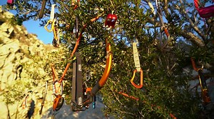 93K views · 1.7K reactions | From the Petzl family to yours, we wish you the best for the holiday season. Nous vous souhaitons de belles fêtes de fin d’année de la part de toute la famille Petzl ! | Petzl | Facebook