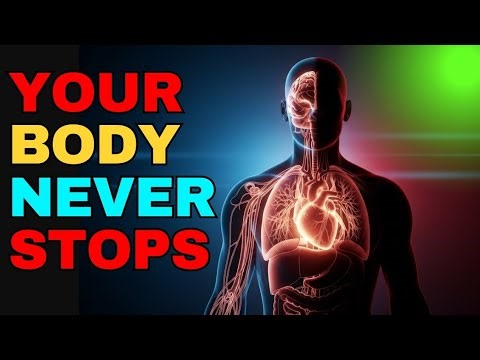 How the Human Body Works – Complete Health System Explained