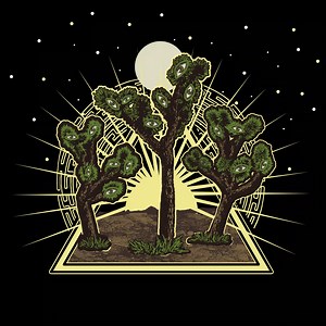 16K views · 381 reactions | 'Joshua Tree’ - the first single from our...