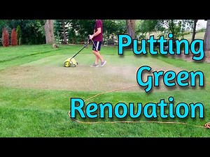 Back Yard Putting Green Renovation | Using the SunJoe as a Verticutter