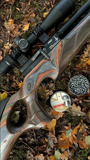 Discover the Wilderness Edition. Meet the BSA R12 CLX Pro Air Rifle