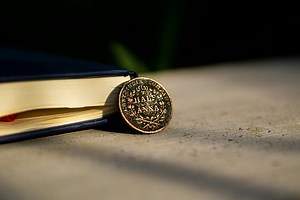 Morgan Dollar Book: A Collector's Guide to Rare Coins