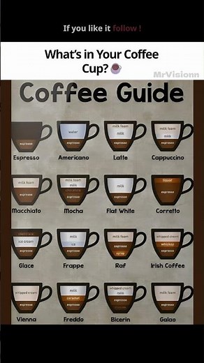 Coffee Types Explained🧋
