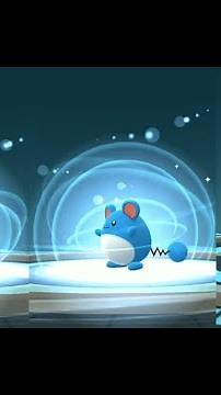 AZURILL evolution into MARILL and AZUMARILL in Pokemon GO !! Trainer Ari