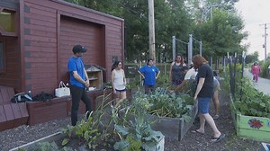 Community-Based Public Art Initiative in Chicago Aims to Spur Climate Action