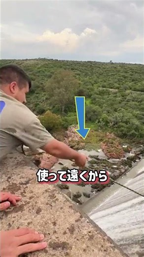 The ivy removal operation and the man who saved thousands