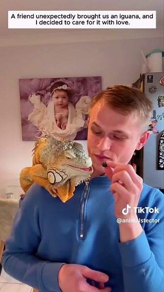 Adorable Baby Iguanas: A Look at Their Soft Nature