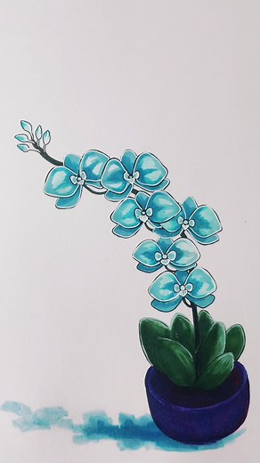 How to Draw Orchids: Step-by-Step Tutorial