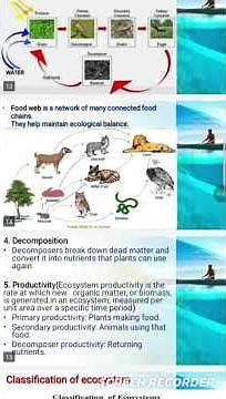 Ecosystem (structure and functions)ppt 2025 #environment #ecosystem #2025