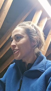 I have LOFT LIGHTS 💡❤️🙌 If you haven't seen tonight's YouTube video, it's all about how I installed 4 LED batten lights without breaking into my house's electrics. Now I can see up there PROPERLY to start replacing the missing insulation and topping up the existing. Oh... and we found something in our mouse trap today and it wasn't a mouse or 🐀😱 (it's now at the beach). Any guesses what it was? | The Carpenter's Daughter, Vikkie Lee