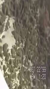 On October 22, 1999, 60-year-old expert parachutist Jan Davis took part in a protest jump from Yosemite’s El Capitan—breaking National Park rules banning BASE jumping. She used borrowed gear to avoid confiscation of her own, but the ripcord was in an unfamiliar position. Mid-fall, she reached for her usual spot—but it wasn’t there. After a 20-second plunge, she struck the rocks below as her husband watched in horror. Known as the First Lady of Angel Falls, Jan’s death shocked the BASE community.