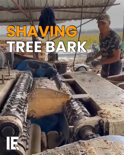 226K views · 861 reactions | Removing tree bark is a key preliminary step in the lumber process. It's removed by rolling the log between two sets of rotating blades. The process also creates a more uniform rounded log shape. | Interesting Engineering | Facebook