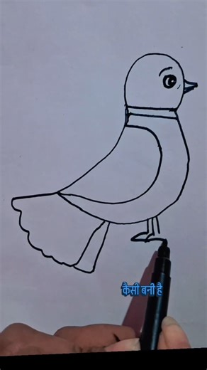 ✏️ Easy Bird Sketch | Pencil Art for Beginners | #Shorts #drawing #sorts #pencilart #birds #art