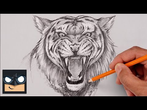 How To Draw a Tiger | Step by Step Sketch Tutorial