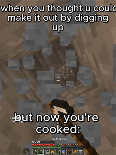 Minecraft Digging Memes and Builds