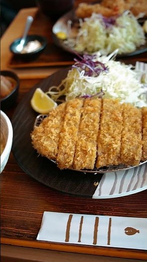 Discover Japan with Vasco Translator! 🇯🇵✈️ Break Language Barriers on Your Journey! 🌏📱