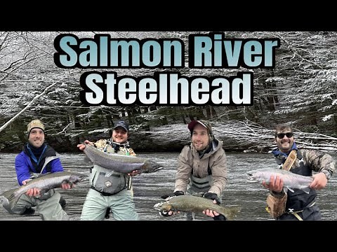 Fly Fishing for Steelhead – Salmon River, New York – 4k Video