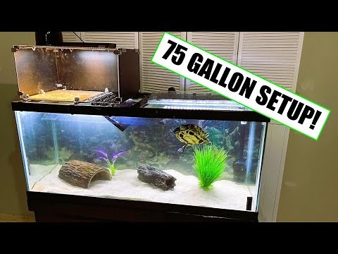 75 Gallon Turtle Tank Setup - Easy Build to Optimize Space!