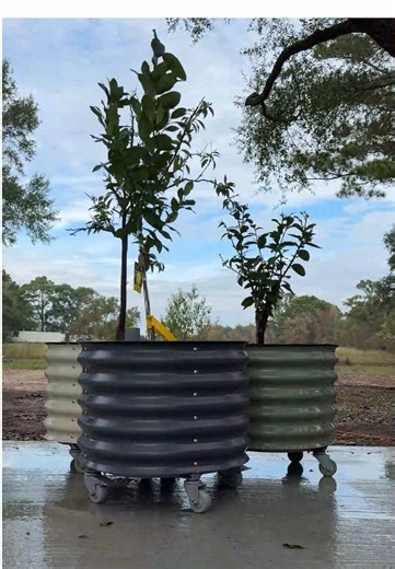 A rolling planter with wheels and self-watering makes planting so much easier — move it anywhere and let the plants take care of themselves 🌿🛞 💧#fyp #marrychristmas #easygardening #garden