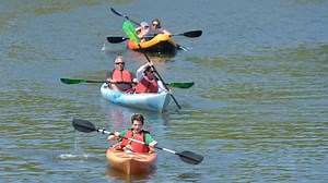 Take a class or a guided tour, or just rent your own: Our Cape canoe and kayak picks