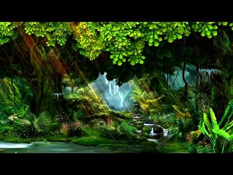 Beautiful green forest video background for video Maker