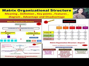 Matrix Organization Structure : Meaning , Definition , Features ,diagram , advantage & disadvantage