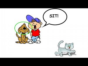 Watch how to sign 'listen to' in American Sign Language.