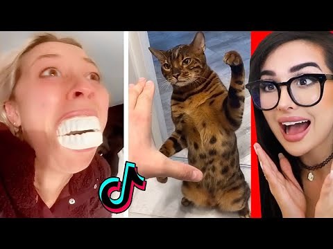 TikToks That Are Actually FUNNY
