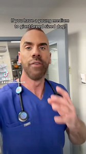 36K views · 728 reactions | Learn how to decrease bloat or GDV in your dog. #bloat #vettok #vetmed #dogsoftiktok #dogtok #GDV #vetmedlife #dogs @Mount Laurel AH #largedog #giantdog | Adam Christman | Facebook
