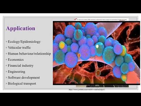 Lecture 1: The basics of Mathematical Modeling and its principles