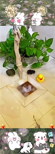 This telescopic spring tool is the best solution for easy pipe unclogging‼#pipeunclogging#homemaintenance#telescopictool#easyfix#diyplumbing#clogfree#effortlesssolutions#plumbinghack#homerepair #quickfix