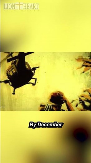 M-14 & M-16 - Rifles of the Vietnam War - Pt. 1 #lionheartfilmworks #vietnamwar #militaryhistory