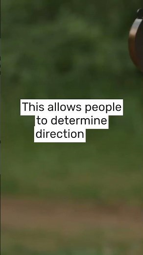 How Does a Compass Work?