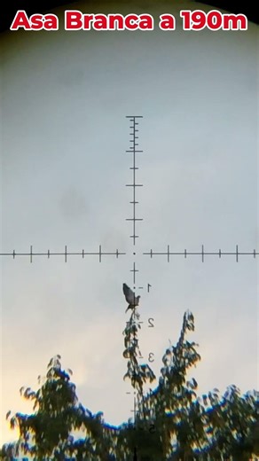 Asa Branca a 190m passou perto Behemoth 4.5mm