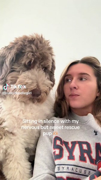 Loving Moments with a Rescue Aussiedoodle