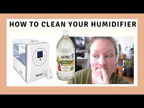How I Clean My Humidifier | Levoit Humidifier