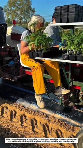 This Machine Plants Thousands of Seedlings in Minutes!