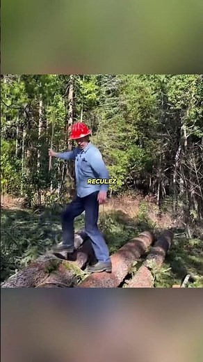 This trick using a stick allows you to measure the height of a tree