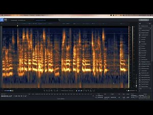 RX 8 Introduction & Spectrogram Basics