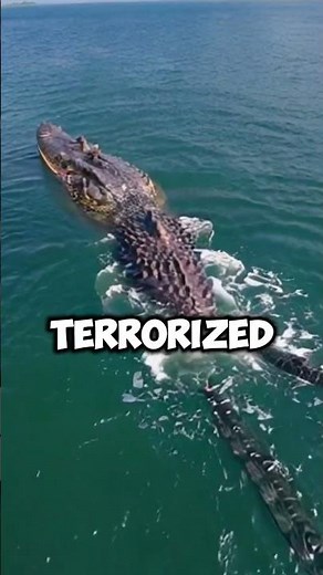Gustave the Killer Crocodile: Africa’s Most Dangerous Predator #SHORTS