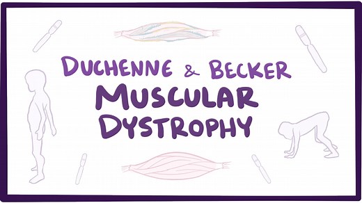 Muscular dystrophy: Video, Causes, & Meaning | Osmosis