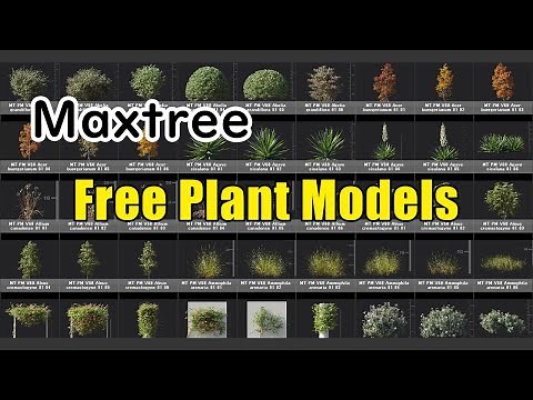 Introducing Maxtree's free plant model and how to add it to the Forest Pack Library