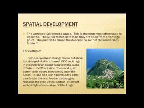 Organizational Patterns