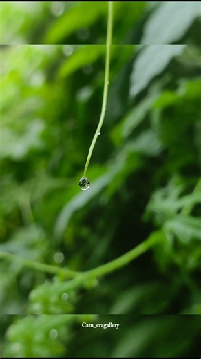 Water Drop Creative photography💦 || Pro Tips And Tricks || #ytshorts #youtubeshorts #shorts #tips