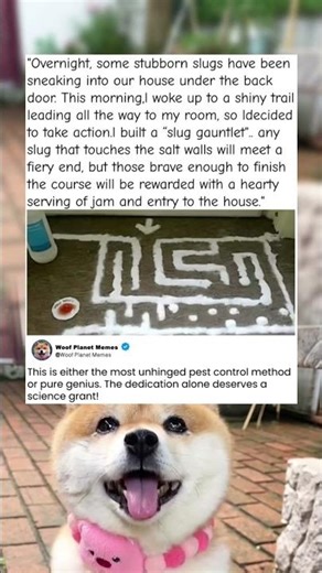 He Built A Salt Maze To Stop Slugs