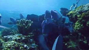 From Rock to Classical-Pop Crossovers: New Ocean-Inspired ‘Over the Horizon’ Celebrates 10th Anniversary of Galaxy Series