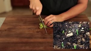 Chinese Shrimp Stir Fry Recipe - Ready in 15 minutes | Steamy Kitchen