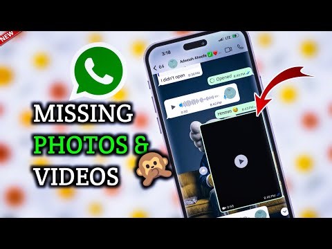 How To Fix WhatsApp Photos And Videos Not Showing In Gallery On iPhone (2026)