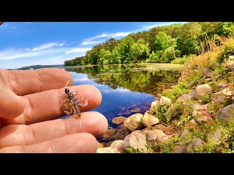 A Simple Way To Catch Loads Of Bluegill From The Bank