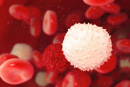 High leukocytes in the urine: when to worry? | Emergency Live